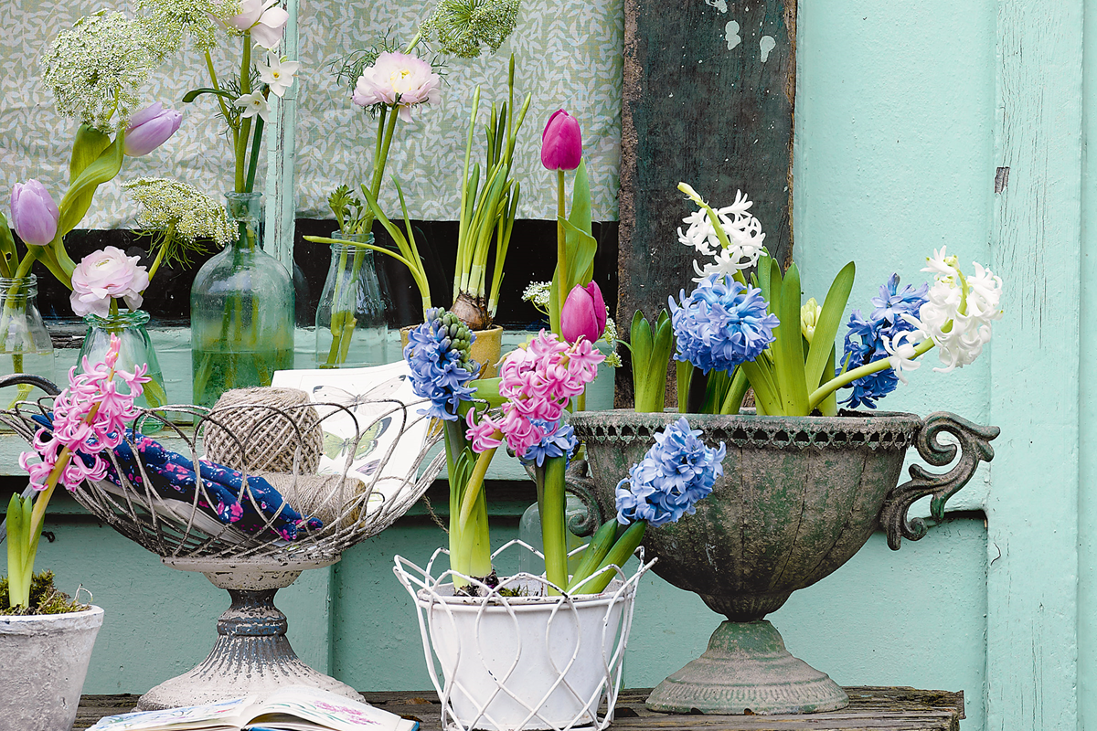 Best Valentine’s Day Bouquets To Gift Your Loved One